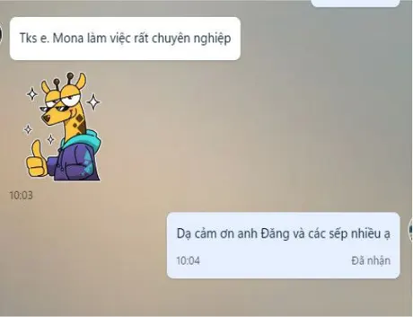 Khách nhắn: Mona làm việc rất chuyên nghiệp