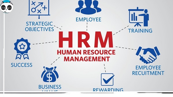 phần mềm hrm