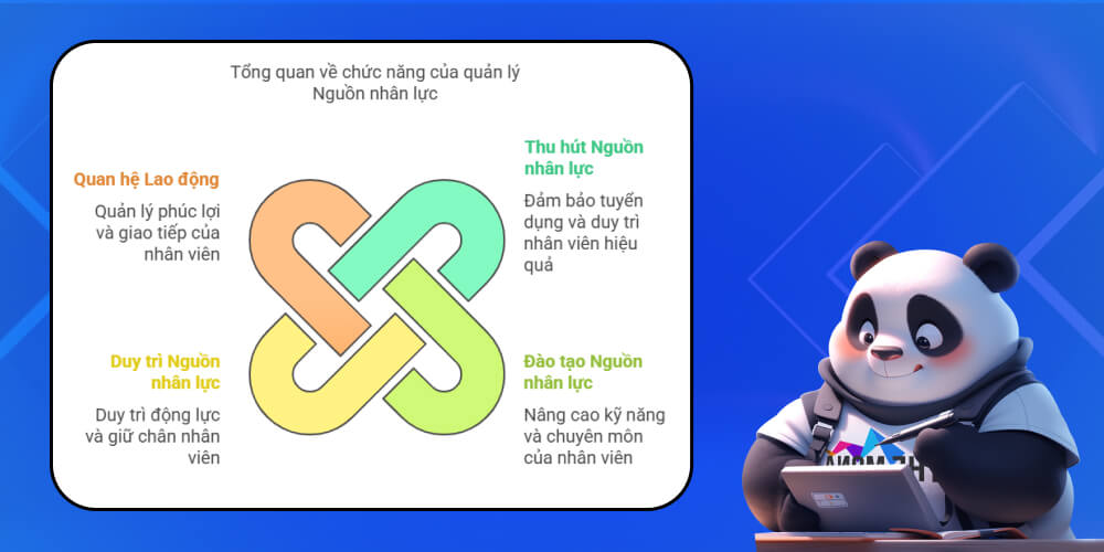 Các chức năng của quản trị nguồn nhân lực