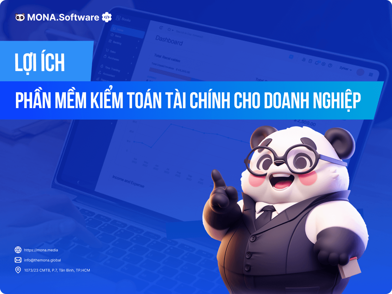 Phần mềm kiểm toán tài chính