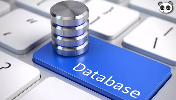 Database là gì? Sự quan trọng của cơ sở dữ liệu trong lập trình phần mềm?