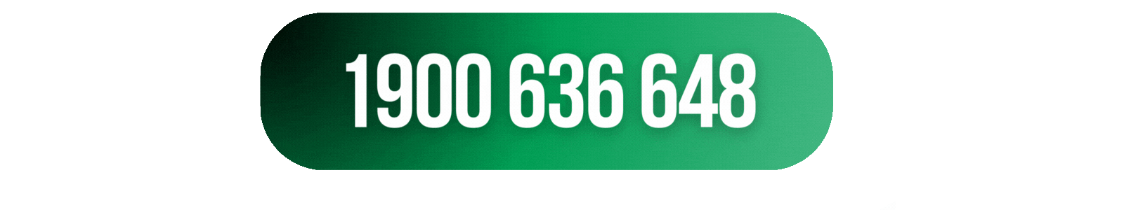 Gọi cho MONA Software ngay hôm nay