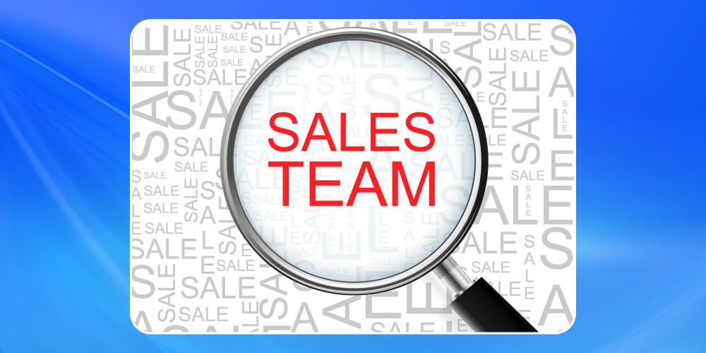 Bộ phận Sales Team trong phòng kinh doanh